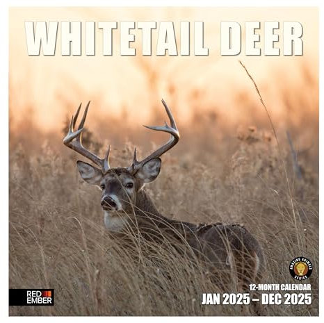 RED EMBER Whitetail Deer 2025 Monats-Wandkalender zum Aufhängen, 30,5 x 61 cm, dickes und stabiles Papier, Geschenk, Tiere, Jagd, Wildnis, Weißschwanz-Wunder