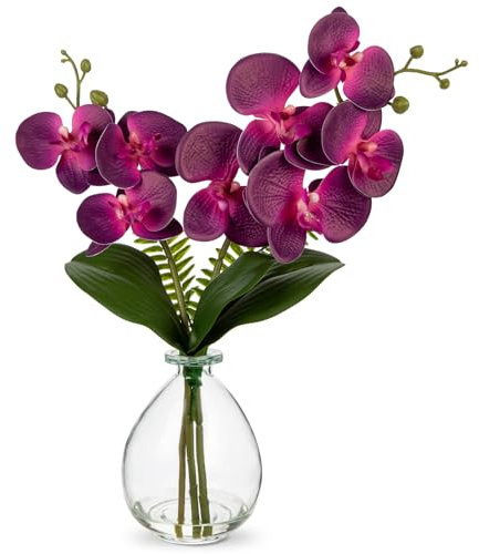 Hollyone Orchidées artificielles violettes avec vase en verre transparent - Fleurs artificielles dans un vase avec fleurs au toucher réel - Pour salon, bureau, cuisine, table