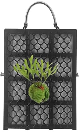 Staghorn Fern Mounting Kit – PP Iron | Vertical Plant Wall Planter Frame Board | Platycerium Orchids Mount | Durable Mounting Board For Indoor And Outdoor Decorative Plant Display