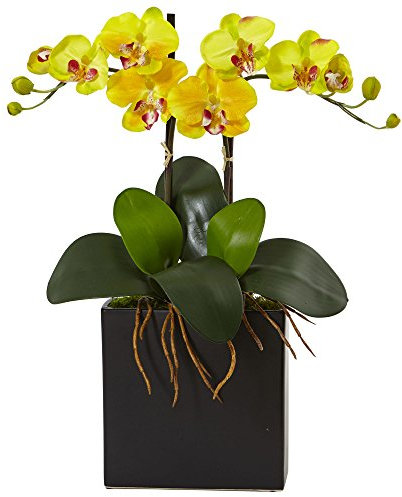 Quasi Natural - Mini orchidea in seta Phalaenopsis in vaso nero, giallo