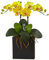 Nearly Natural Double Orchid In Black 1 Doppel Mini Phalaenopsis Silk Orchidee in schwarzer Vase, Seide, gelb