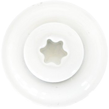 HAUS & DACH Lot de 100 vis étanches en acier inoxydable A2 Blanc pur RAL 9010 4,5 x 100 mm