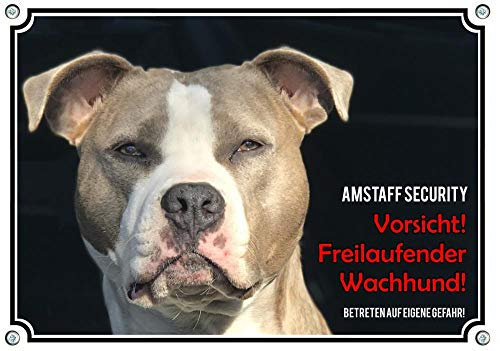 Petsigns Exklusives Hundeschild - American Staffordshire Terrier - Warnschild - uv-beständig, DIN A4