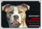 Petsigns Exklusives Hundeschild - American Staffordshire Terrier - Warnschild - uv-beständig, DIN A4