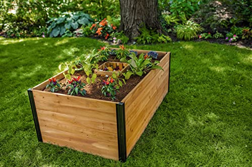 VITA Mezza 3 Foot x 5 Foot Keyhole Garden with Composting Basket, Golden Brown with Black Aluminum Posts, Cedar Wood, FSC, Pre-Stained, Outdoor, VT17702