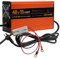 48 Volt Lithium Battery Charger for Golf Carts with Anderson Plug. 15 AMP LIFEPO4 Battery Charger. 16FT, Upgraded, 3-Stage Charge Technology, (Output: 58.4 Volts) 3-5 Hours Full Charge, Smarter
