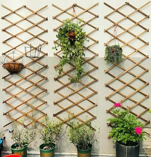 WILSONS DIRECT - Expanding Expandable Natural Wooden Trellis Garden Fence - Folding Plants Flowers Vines Climbing Support Panels - Garden Lawn Outdoor Wall Mounted Trellis (30 x 180cm (1ft x 6ft))