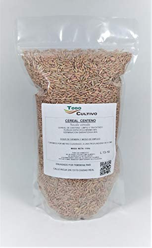 Centenum pour semer traité. Boîte de 1 kg. Plantation de novembre à janvier. Utilisé aussi bien pour le grain que pour le repas.