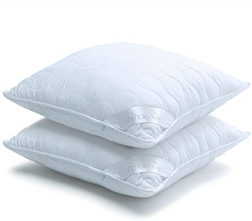 aqua-textil Ambiente 2er Set Kopfkissen 50 x 50 cm Mikrofaser Kissen Nackenkissen atmungsaktiv Reißverschluss Kochfest