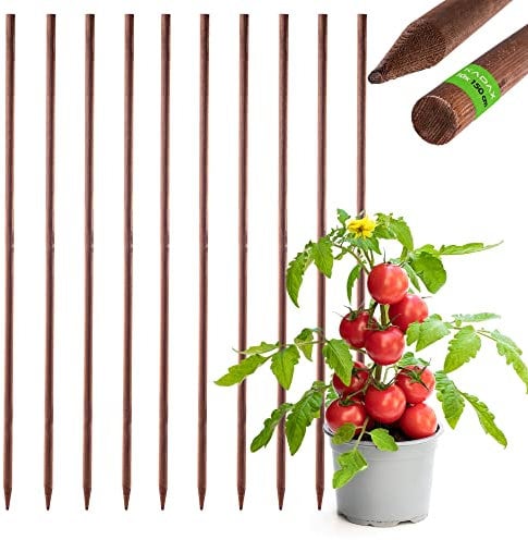 KADAX Tuteur en bois imprégné pour plantes grimpantes - Résistant aux intempéries - 10, 28 mm x 150 cm