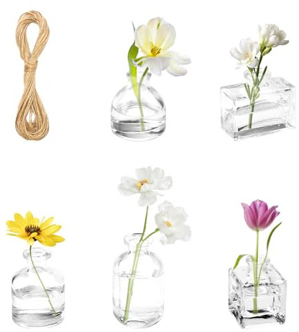 APOMOONS 5 Piezas Floreros de Cristal Pequeño Vasos de Cristal Jarrones Decorativos Jarron Flores para Juego Transparentes para Centro de Mesa en Casa Fiesta de Boda Decoración con Cuerda de Yute