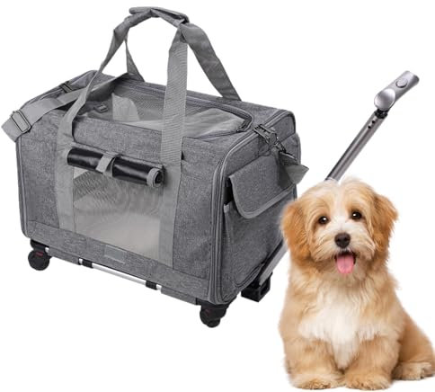 Grandi Gatti Carrier AE Company Sac de voyage doux pour animaux de compagnie avec pailles à bandoulière Sac de voyage pour chiens de petite taille