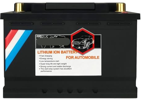 Batteria For Auto Al Litio 12V 40AH LiFePO4 1300CCA Batteria Di Avviamento Ciclo Profondo 200A BMS Integrato For Motore Da Traina Automobilistico