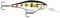 Rapala Unisex-Adult Shad Rap Angelköder-Angelzubehör mit Balsa-Konstruktion-Süßwasser Spinnköder-Lauftiefe 2.4-4.5m-Fischköder 9cm, 15g-Hergestellt in Estland-Live Hologram Perch, Standard