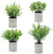 newkaijian Plantes artificielles - Mini Eucalyptus et Olivier - 4 pièces pour décoration dans la Cuisine, Le Salon et Le Bureau - Facile d'entretien et Durable (4 pièces-001)