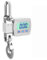 Digitale Kranwaage, 500 kg digitale Kranwaage, tragbare Hängewaage, robust, 300 kg Kranwaage, LCD-Hintergrundbeleuchtung, industrielle Hakenwaage, Einheitswechsel(500kg Silver)
