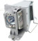 BL-FP195B / BL-FP195A / SP.78H01GC01 / SP.79C01GC01 Projektorlampe VIP 195W Birne mit Gehäuse Kompatibel mit Optoma GT1080DARBEE HD29DARBEE Ersatzlampe