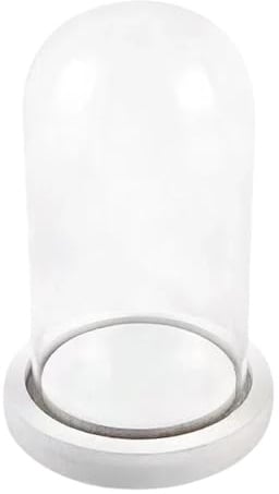 Campana di Vetro con Base in Legno, Cupola vetro esposizione vetrina Centrotavolo Porta candela Decorazione (10*20cm)
