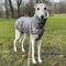 EDEL&SCHNELL Stepp-Wintermantel grau gefüttert mit Kunstpelz, Winterjacke Hund mit Reißverschluss, Hundemantel für große Hunde Rückenlänge 65-70 cm