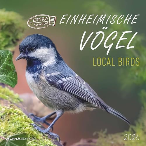 Alpha Edition - Einheimische Vögel Kalender 2026 – Wandkalender 30×30 cm (30×60 geöffnet) mit Vogelmotiven & Platz für Notizen, Broschürenkalender mit ... Bildkalender für Vogelliebhaber: Local Birds