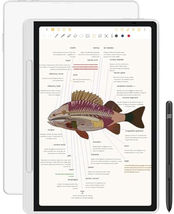 XPPen 3 in 1 Color Digital Notebook 10.95'' Paper Note Taking Tablet with 16384 Pressure Levels Battey-Free X3 Pro Pencil 2 Magnetic Folio 6+128GB Magic Note Pad for Writing/Reading/Meeting/Study