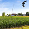 6m Vogelschreck, Ausziehbarer Vogelscheuche, Fliegender Falkdrachen mit 6m Teleskopstange, Flash Reflective Scare Vogel-Scarer-Gerät für Garden Farm