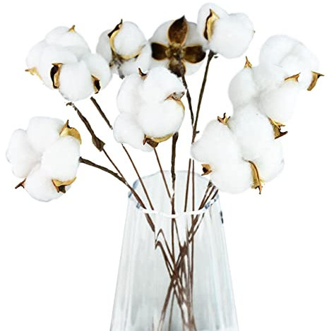 JAWSEU Natürliche Getrocknete Baumwollstiele, Getrocknete Blumen Deko Baumwolle Zweig, Künstliche Dekoblumen Weiss Kunstblumen, Baumwolle Zweig für Dekoration Wohnaccessoires