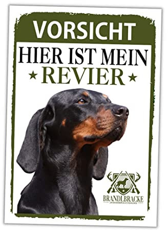 Brandlbracke Schild Revier Jagd Türschild Hundeschild Warnschild Hund Kärntner Bracke Bracken Geschenkidee lustiger Spruch Hundemotiv Aluminium Wetterfestes Hundeschild