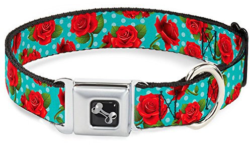 Buckle-Down 22,9–38,1 cm rot Rosen/Polka Dots Punkte TÜRKIS Hunde-Halsband mit Knochen, klein