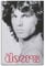 Terp The Doors Poster Wall Art Poster Gift For Friend Bed Room Living Room Decor Modern Aesthetic Unframe-style 12x18inch(30x45cm)