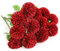 Floweroyal 12St Künstliche Hortensienblüten Seiden Chrysanthemen Kugelblumen Braut Hochzeitsstrauß für Zuhause Garten Party Sekretariat Kaffee Haus Dekorationen (Rot).