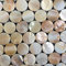 Natürliche Penny Runde Muschelmosaik Perlmutt Fliesen Dekoration Wand Bad Küche Backsplash Tapete Fliesen