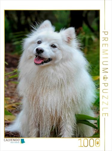 CALVENDO Puzzle Spitz | 1000 Teile Lege-Größe 48 x 64 cm Foto-Puzzle für glückliche Stunden