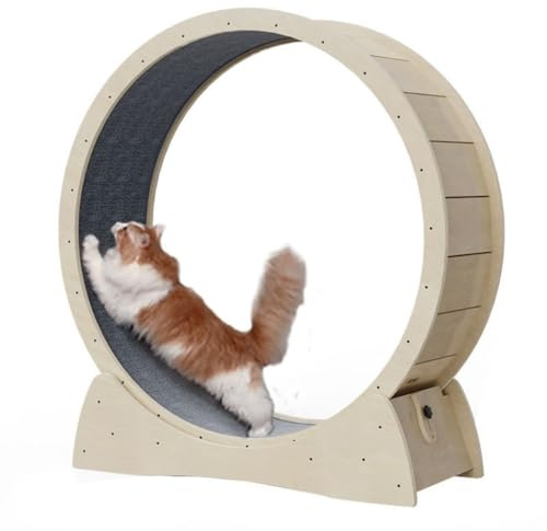OZWYCY Katzenlaufrad Katzenlaufband Kleine Rolle, Keine Installation, Kein Platzbedarf, Katzenklettergerüst, Katzenlaufrad Aus Massivholz Katzenlaufrad für den Lnnenbereich(A,L)