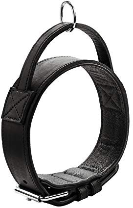 HUNTER Trainingshalsband mit Griff Larvik M-L (60), Schwarz