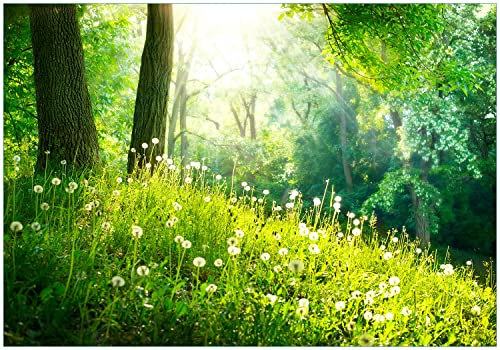 Wallario Vliestapete Fototapete Pusteblumen im Wald mit einfallenden Sonnenstrahlen - Wandtapete Größe: 200 x 140 cm