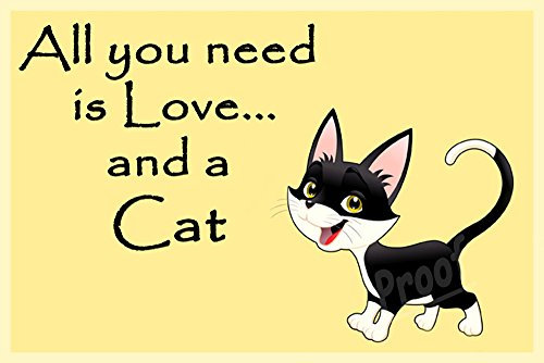 Funny Cat Fridge Magnet Gift - All You Need is Love...and a cat