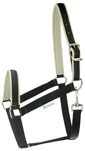 Bucas Halfter Dublin - Schwarz-silber - Gr. Pferd