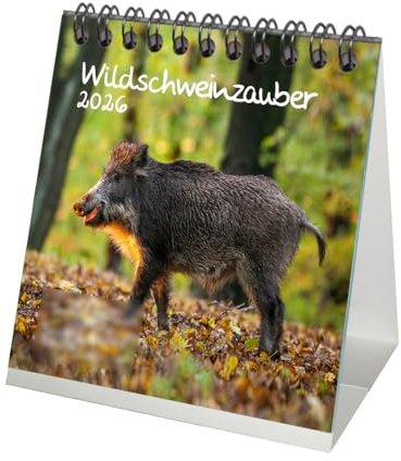Seelenzauber Wildschweinzauber Tischkalender 10cm x 10cm für 2026 Schweine Schweinchen - Set-Inhalt: 1x Kalender 1x Weihnachtsanhänger 1x Grußanhänger (gesamt 3 Teile)