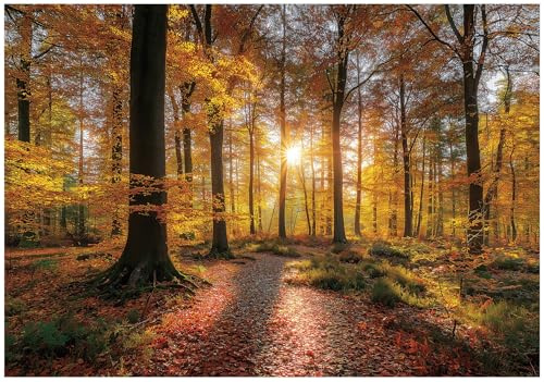 WallArena Vlies Fototapete, Wald, 350x250cm | Fototapeten - Tapeten - für Wohnzimmer Schlafzimmer - Vliestapete Wandtapete Tapete 3D Effekt- inkl. Kleister