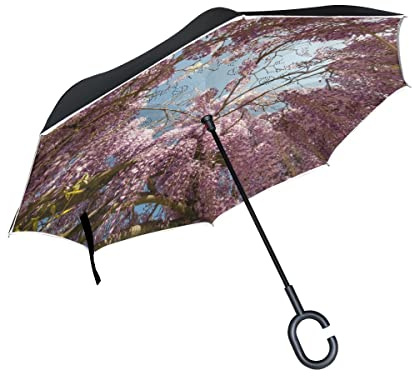 AAHENPAI Wisteria Reverse Inside Out Regenschirm Autos Unigue Winddicht UV Proof Doppelschicht für Frauen