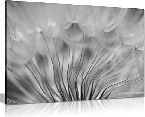 Panther Print Fine Art Prints Abstract Black & White Dandelion Soft Floral Artistic Framed Canvas Print, Pictures for Home Walls, Bedroom, Living Room & Bathroom Decor 91x61cm (36x24in)