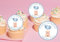 20 x EDIBLE Teddy Bear Personalised cupcake toppers wafer/icing uncut BOY BIRTHDAY/BABY SHOWER/CHRISTENING/BAPTISM/ANY WORDING (wafer paper)