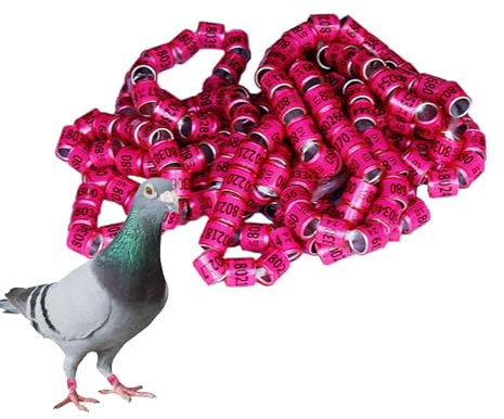 Anelli Di Identificazione Di Piccioni - Bande Di Piede Di Uccelli, 50 Pezzi Di Per La Casa Di Uccelli Sicuri | Forniture Da Corsa Di Piccioni, Colorate Bande Di Pappagalli E Ragazze, Anelli