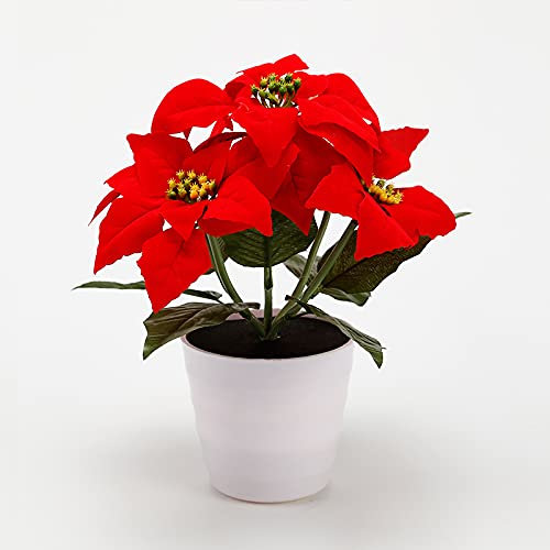 SJDWDX Artificial Christmas Red Poinsettia Flowers Christmas Potted, LED Lighted Creative Displays Large Premier Plastic Poinsettia Plant Light Decorations Battery Operated