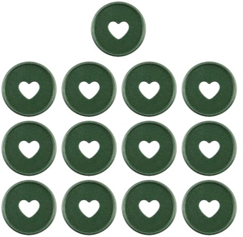 HEVSTIL Umbre Expander Discs Kunststoff Expander Discs Scrapbooking Supplies Discbound Erweiterungsscheiben für Notizbücher, Planer und Tagebücher, fügen Sie zusätzliche Seiten hinzu, Notizen (35 mm,