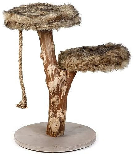 Designed by Lotte Kratzbaum Holz L: 50 cm B: 50 cm H: 68 cm Aviva
