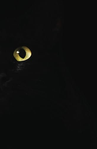 My Cat Journal