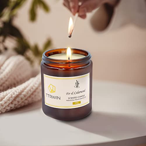 TTRWIN Duftkerzen, Langbrennende Sojakerze, Richy Aroma Zedernholz Tanne, Aromatherapie Kerze im Glas, 200g, Entspannendes Geschenk für Geburtstag, Jahrestag