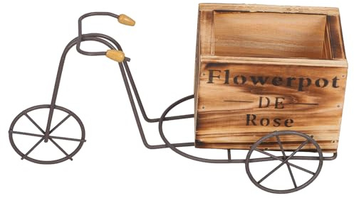 KALLORY Vintage Fahrradmodell Pflanzgefäß und Eisen für Sukkulenten